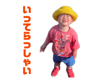 853662355
