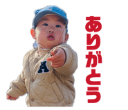 853662361