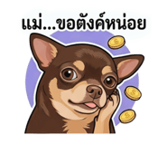 853663701