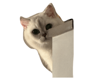 853664969