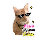 853665292