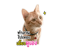 853665295