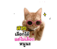853665298