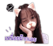 853665516