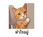853666551