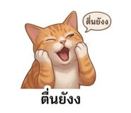 853666559
