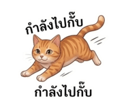 853666560