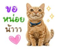 853668692