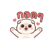 853669405