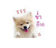 853670179