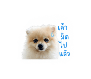 853670182