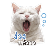 853671692