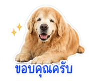 853673290