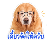 853673295