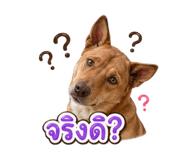 853674546