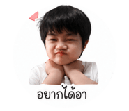 853675311