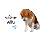 853675332