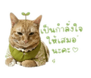 853675355