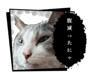 853676657