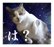 853676664