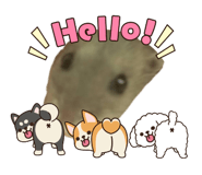 853682455