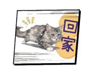 853694461