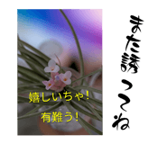 853695528