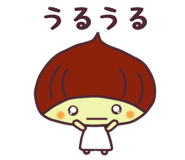 853695597