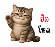 853696409