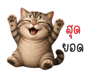 853696416