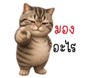 853696423