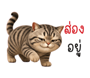 853696426