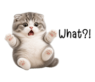 853718078