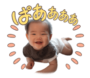 853738836
