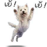 853738912
