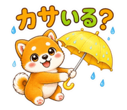 853751822