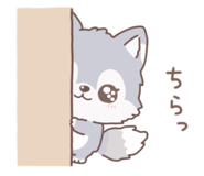 853755797