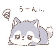 853755798