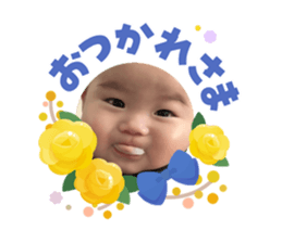 853757484