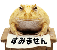 853760979