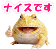 853760982