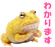853760984