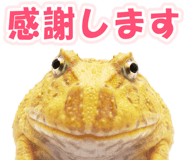 853760988