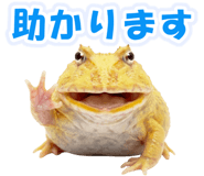 853760990