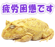 853760992
