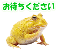 853760994