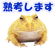 853761010