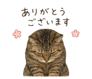 853776348