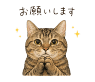 853776355