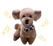 853779412